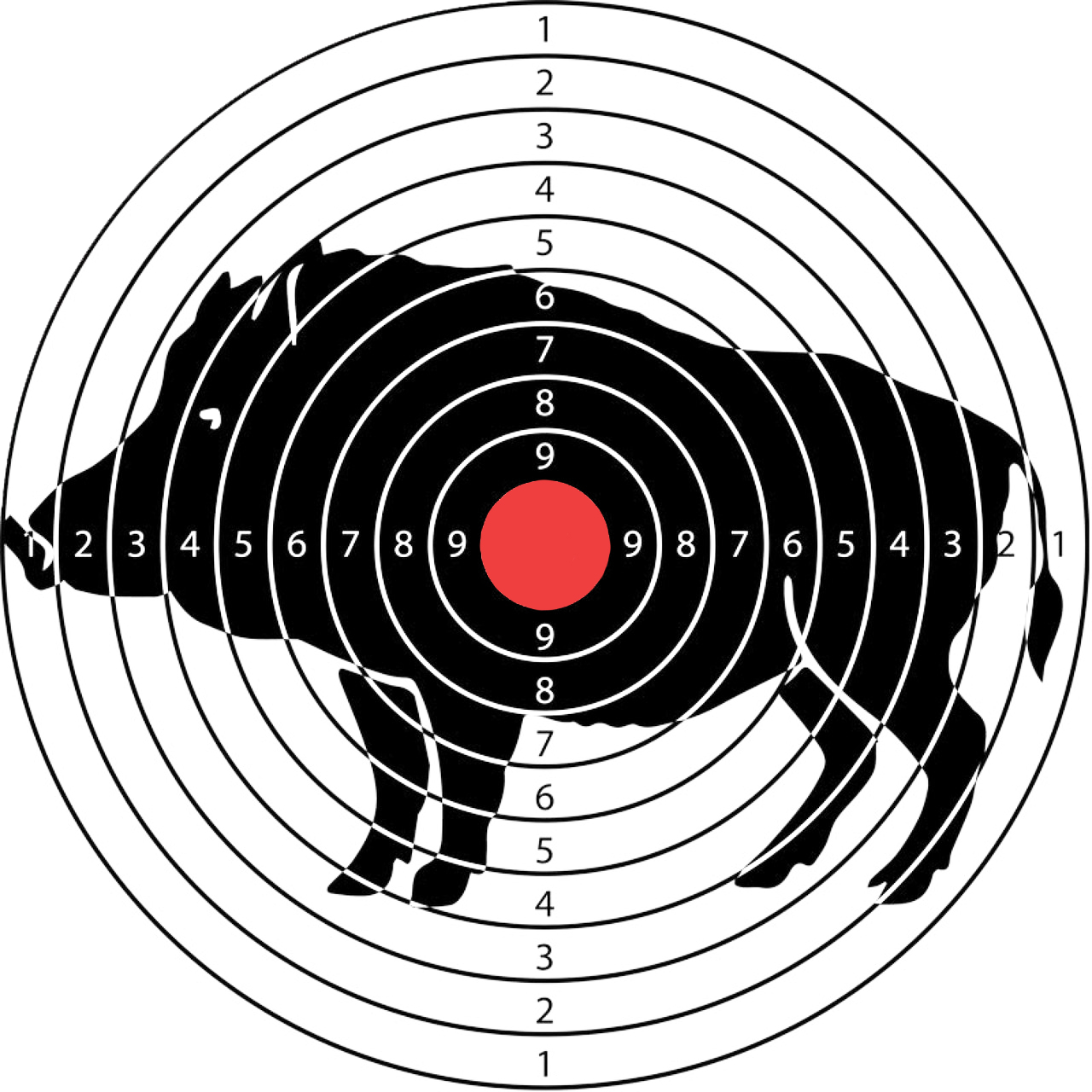 Мишень для пневматики. Мишени для пневматического оружия. Мишень кабан. Мишень кабана для стрельбы.